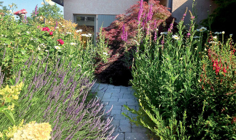 creation-renovation-de-jardins-1