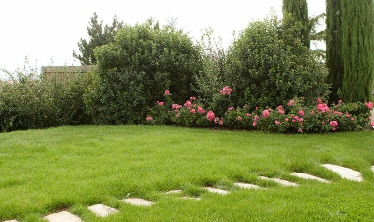 creation-renovation-de-jardins-2