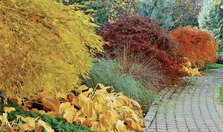 creation-renovation-de-jardins-5