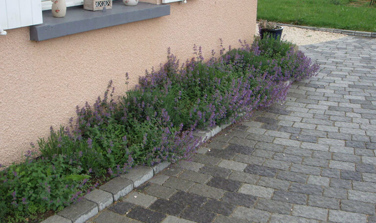 amenagement-acces-10