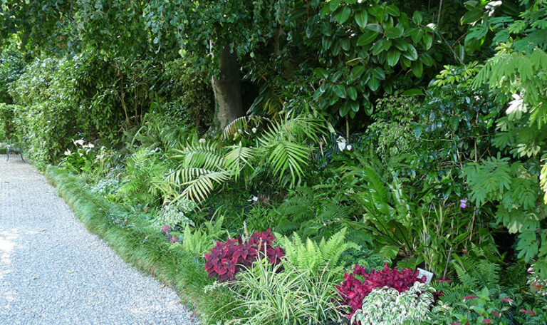 plantation-engazonnement-1