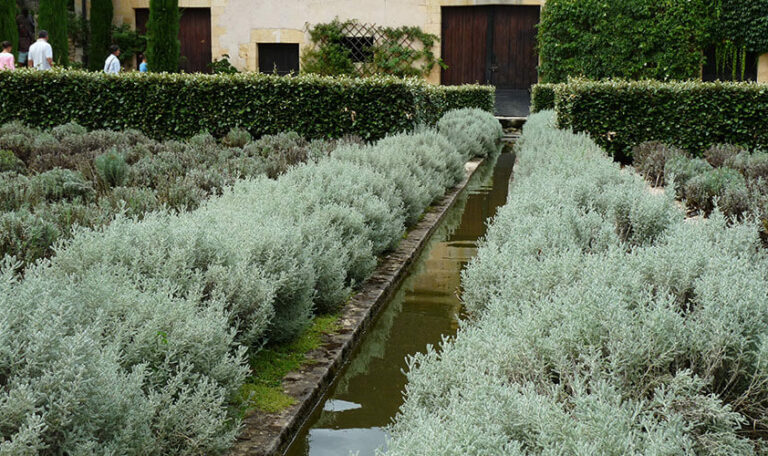 plantation-engazonnement-4