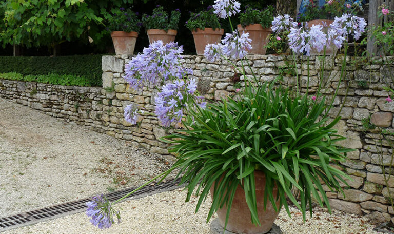 plantation-engazonnement-5