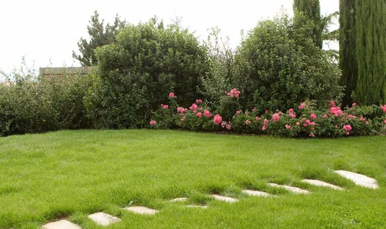 plantation-engazonnement-8